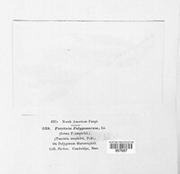 Image Associated With the Occurence